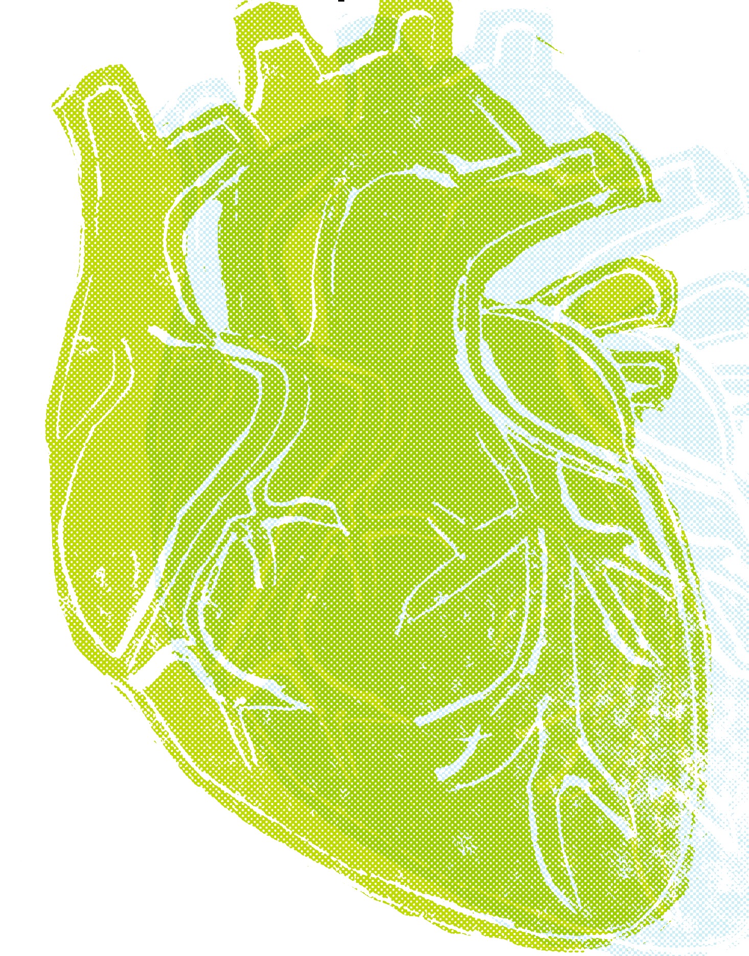 A green and yellow block print of the human heart