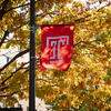 The cherry Temple T flag waves in front of a tree with orange leaves