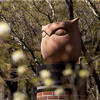 The owl statue in the alumni circle on Main Campus